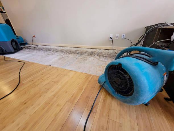 Professional Basement Flood Cleanup technician working in Iona, MN